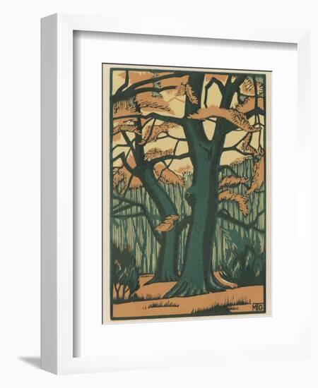 Trees in Autumn-null-Framed Photographic Print