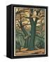 Trees in Autumn-null-Framed Stretched Canvas