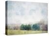 Trees In Color-Kim Curinga-Stretched Canvas