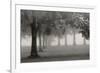 Trees In Early Autumn-Nicholas Bell-Framed Photographic Print