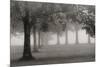 Trees In Early Autumn-Nicholas Bell-Mounted Photographic Print