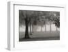 Trees In Early Autumn-Nicholas Bell-Framed Photographic Print