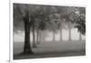 Trees In Early Autumn-Nicholas Bell-Framed Photographic Print
