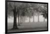 Trees In Early Autumn-Nicholas Bell-Framed Photographic Print