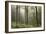 Trees in English Woodland-David Baker-Framed Photographic Print