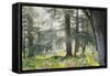 Trees in English Woodland-David Baker-Framed Stretched Canvas