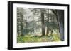 Trees in English Woodland-David Baker-Framed Photographic Print