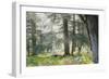 Trees in English Woodland-David Baker-Framed Photographic Print