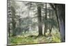 Trees in English Woodland-David Baker-Mounted Photographic Print