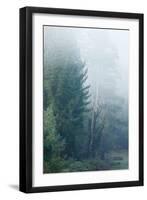 Trees in English Woodland-David Baker-Framed Photographic Print