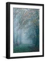 Trees in English Woodland-David Baker-Framed Photographic Print