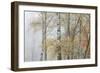 Trees in English Woodland-David Baker-Framed Photographic Print