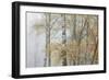 Trees in English Woodland-David Baker-Framed Photographic Print