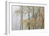 Trees in English Woodland-David Baker-Framed Photographic Print