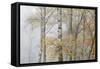 Trees in English Woodland-David Baker-Framed Stretched Canvas