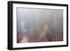 Trees in English Woodland-David Baker-Framed Photographic Print