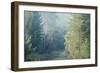 Trees in English Woodland-David Baker-Framed Photographic Print