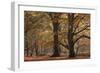 Trees in English Woodland-David Baker-Framed Photographic Print