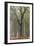 Trees in English Woodland-David Baker-Framed Photographic Print