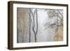 Trees in English Woodland-David Baker-Framed Photographic Print