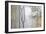 Trees in English Woodland-David Baker-Framed Photographic Print