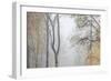 Trees in English Woodland-David Baker-Framed Photographic Print