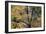 Trees in English Woodland-David Baker-Framed Photographic Print