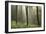 Trees in English Woodland-David Baker-Framed Photographic Print