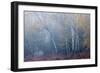 Trees in English Woodland-David Baker-Framed Photographic Print