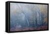 Trees in English Woodland-David Baker-Framed Stretched Canvas