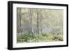 Trees in English Woodland-David Baker-Framed Photographic Print