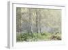 Trees in English Woodland-David Baker-Framed Photographic Print