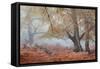 Trees in English Woodland-David Baker-Framed Stretched Canvas