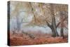 Trees in English Woodland-David Baker-Stretched Canvas