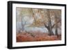 Trees in English Woodland-David Baker-Framed Photographic Print