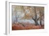 Trees in English Woodland-David Baker-Framed Photographic Print