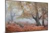 Trees in English Woodland-David Baker-Mounted Photographic Print