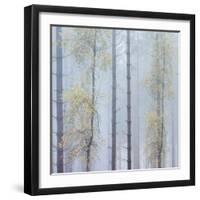 Trees in English Woodland-David Baker-Framed Photographic Print