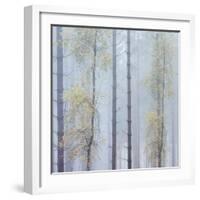 Trees in English Woodland-David Baker-Framed Photographic Print