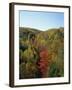 Trees in Fall Colours in Woods in the Acadia National Park, Maine, New England, USA-Rainford Roy-Framed Photographic Print