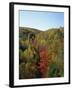 Trees in Fall Colours in Woods in the Acadia National Park, Maine, New England, USA-Rainford Roy-Framed Photographic Print