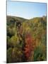 Trees in Fall Colours in Woods in the Acadia National Park, Maine, New England, USA-Rainford Roy-Mounted Photographic Print