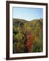 Trees in Fall Colours in Woods in the Acadia National Park, Maine, New England, USA-Rainford Roy-Framed Photographic Print