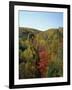 Trees in Fall Colours in Woods in the Acadia National Park, Maine, New England, USA-Rainford Roy-Framed Photographic Print