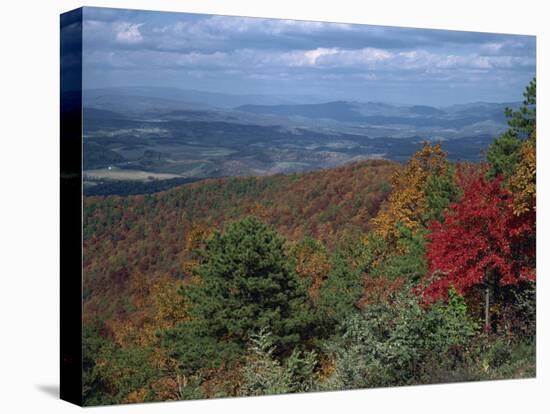 Trees in Fall Colours with Agricultural Land in the Background in Blue Ridge Parkway, Virginia, USA-James Green-Stretched Canvas