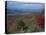 Trees in Fall Colours with Agricultural Land in the Background in Blue Ridge Parkway, Virginia, USA-James Green-Stretched Canvas