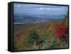 Trees in Fall Colours with Agricultural Land in the Background in Blue Ridge Parkway, Virginia, USA-James Green-Framed Stretched Canvas