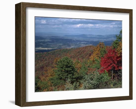 Trees in Fall Colours with Agricultural Land in the Background in Blue Ridge Parkway, Virginia, USA-James Green-Framed Photographic Print