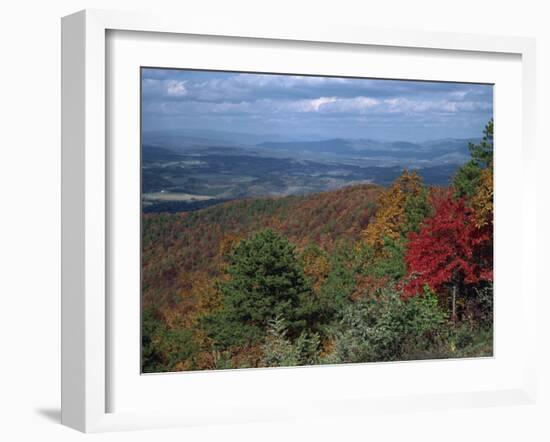 Trees in Fall Colours with Agricultural Land in the Background in Blue Ridge Parkway, Virginia, USA-James Green-Framed Photographic Print