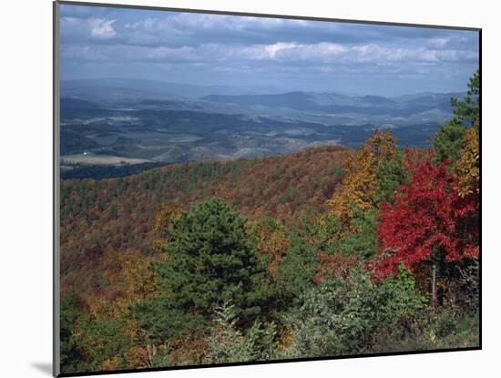 Trees in Fall Colours with Agricultural Land in the Background in Blue Ridge Parkway, Virginia, USA-James Green-Mounted Photographic Print
